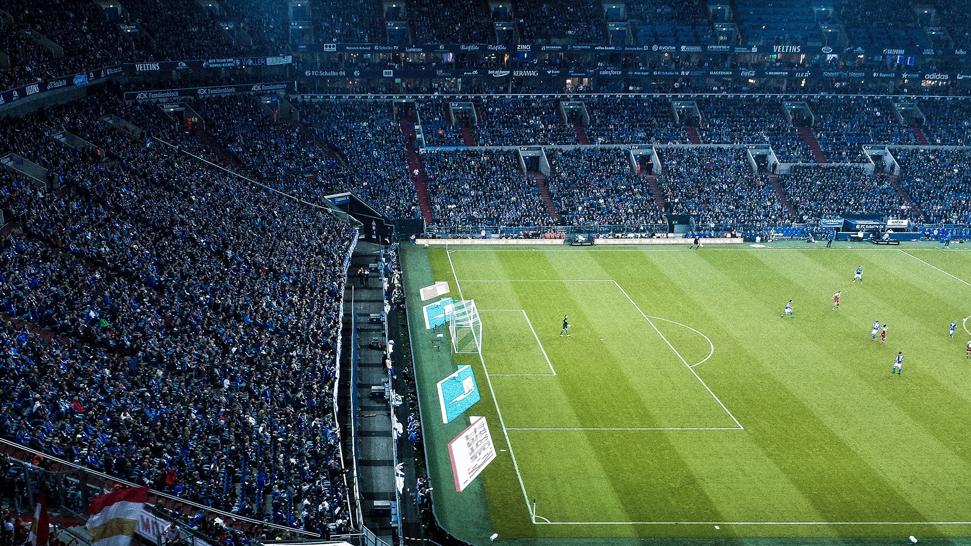 Ming王者归来！首战大胜引爆加拿大队主场沸腾，Ming王者归来！首秀狂胜引爆加拿大主场沸腾